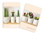 NAMOO E-Gift Card