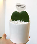 Adorable Heart Hoya in Ceramic Pot -Hoya Kerri