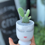 Face Succulent Pot