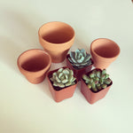 Clay Pots