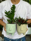 Face Planter