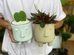 Face Planter