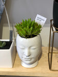 Face Modern Planter