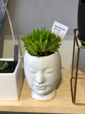 Face Modern Planter